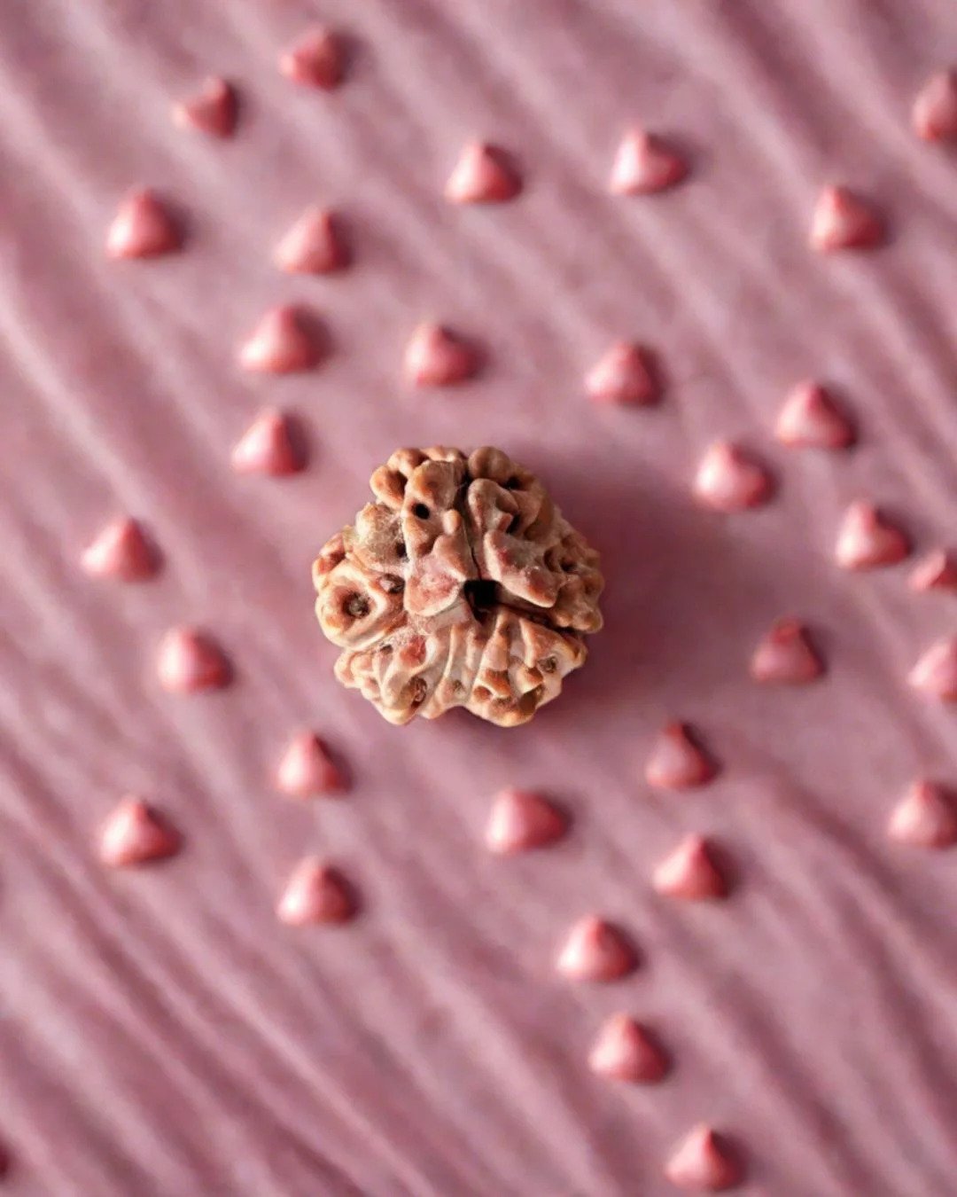 3 Mukhi Rudraksh